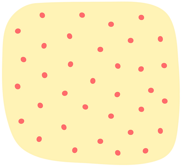 CapeAtlantic CATS Rescue Shelter Adopt a Rescue Cat Ocean City, NJ